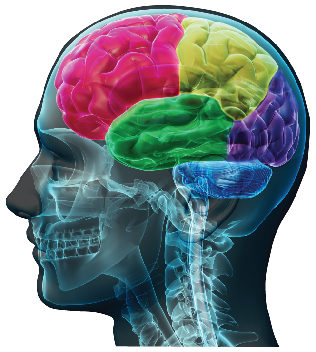 Home Page Image